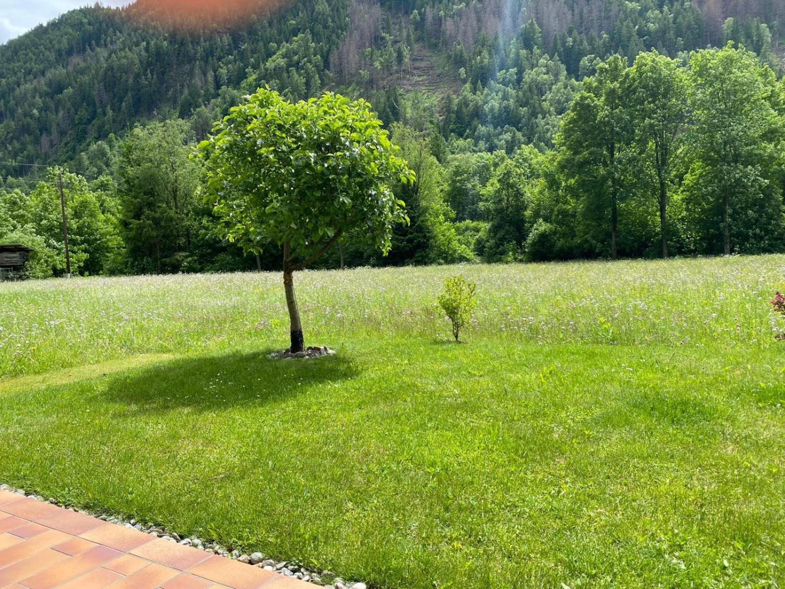 Appartement Dallavia Unterleibnig Kültér fotó
